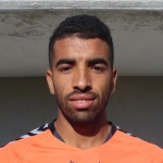 贾瓦德埃拉吉