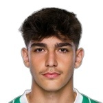 埃米尔汉·阿尔通达格